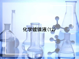 化学镀镍液(12)