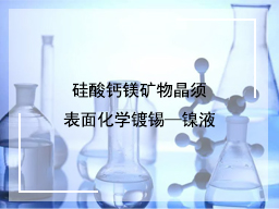 硅酸钙镁矿物晶须表面化学镀锡—镍液