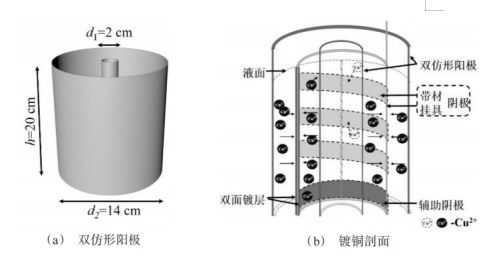 1732603167807276.png 12.png