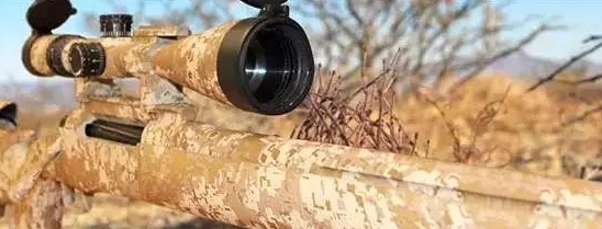 1733733615383154.png 55.png