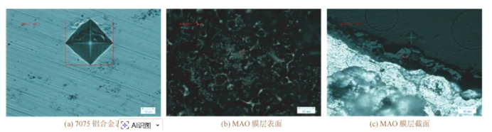 1770114443544265.png 53.png