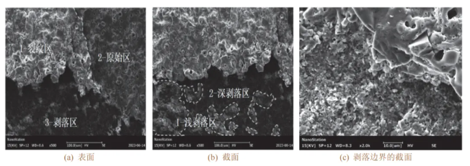 1770114500143769.png 56.png