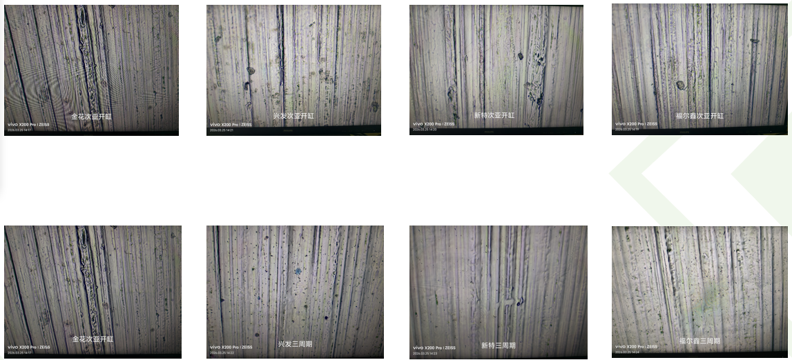 1775117488157453.png 007.png