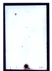 1775719775110901.png 772.png