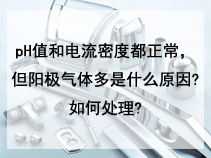 pH值和电流密度都正常，但阳极气体多是什么原因?如何处理?