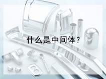 什么是中间体？