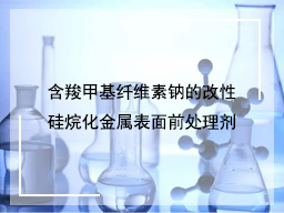 含羧甲基纤维素钠的改性硅烷化金属表面前处理剂