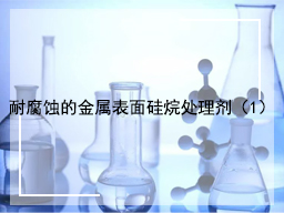 耐腐蚀的金属表面硅烷处理剂（1）