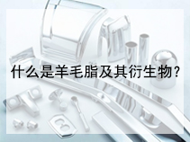 什么是羊毛脂及其衍生物？