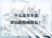 什么是羊毛脂琥珀酸酯磺酸盐？