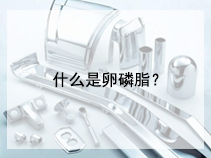 什么是卵磷脂？