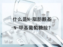 什么是N-脂肪酰基-N-甲基葡萄糖胺？